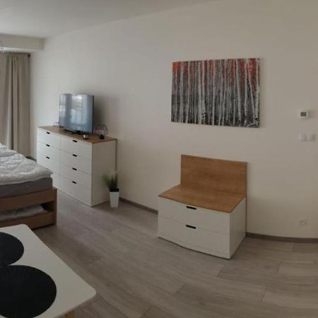 Apartment Korzo 318/3 Lipno nad Vltavou Zewnętrze zdjęcie